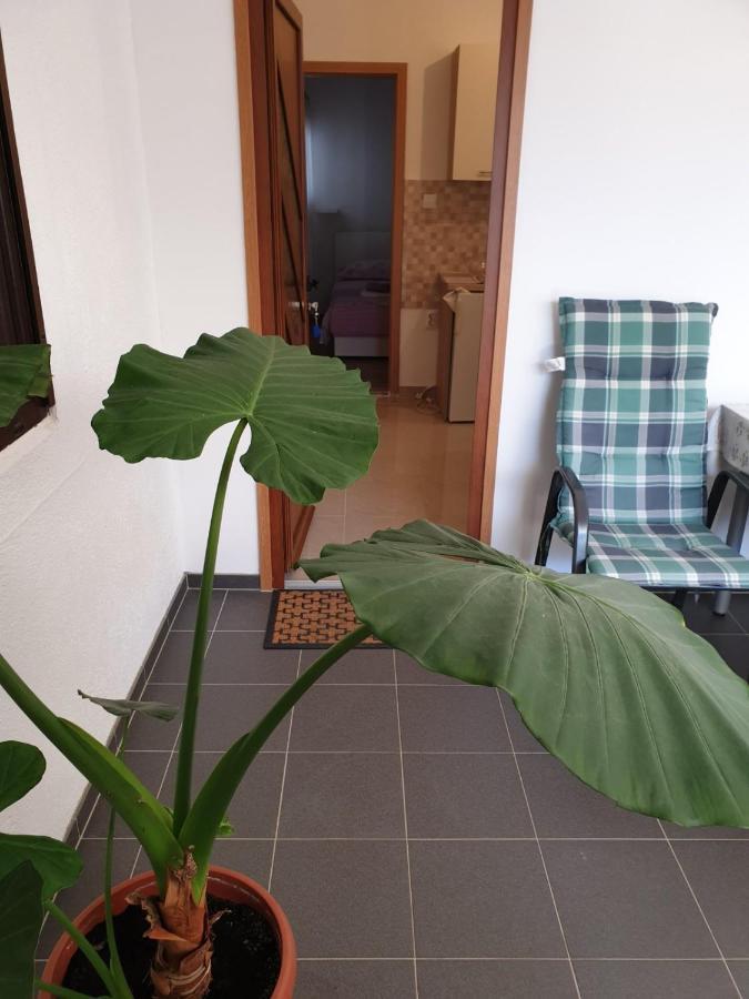 Vito Apartment Starigrad Paklenica Exterior photo